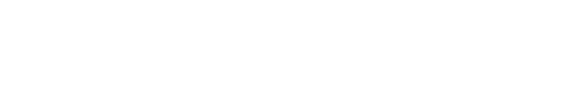 NTX-Chrono Logo